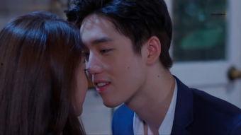 电视剧爱全集在线观看,一场跨越时空的情感之旅